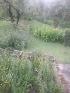 Parque Parilla Pileta