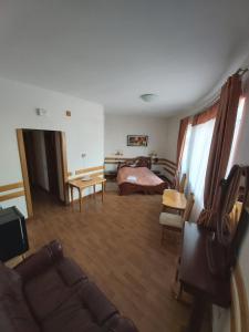 Тиса Економ