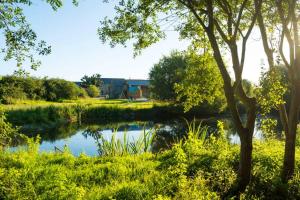 B&B / Chambres d'hotes La Ferme du golf, gite atypique et artistique : photos des chambres