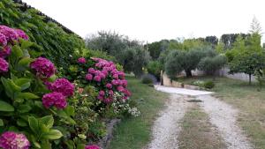 Maisons de vacances L'Olivette : photos des chambres
