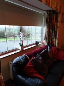 Relaxing Break at Coshel View