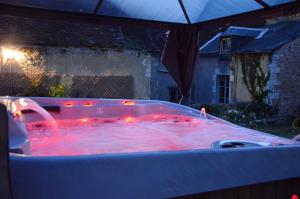 Maison de charme au cœur du Blanc, avec spa et jardin