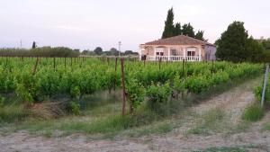 Maisons de vacances Maison de 3 chambres avec piscine partagee jardin amenage et wifi a Saint Laurent de la Salanque a 3 km de la plage : photos des chambres