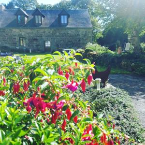 Maisons de vacances Chestnut : photos des chambres