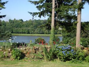 Maisons de vacances Chestnut : photos des chambres