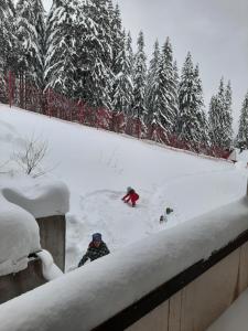 Ski Inn Monastery 3 Ski-to-Door