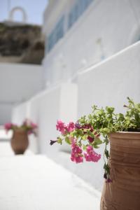 Villa Maria Rooms Santorini Greece