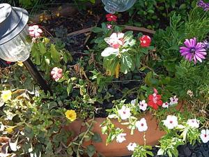 Romance de Luna.- Monoambientes.-