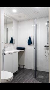 Trendy Homes Oulu Marski Apartments