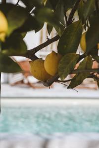 Hotels Hotel Le Sud : photos des chambres