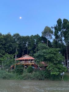 Cát Tiên River Side