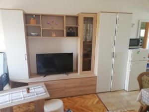 Studio apartment in Vir (4776-3)