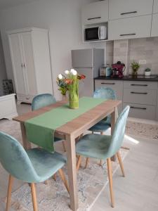 Studio Timeea Mamaia-Nord