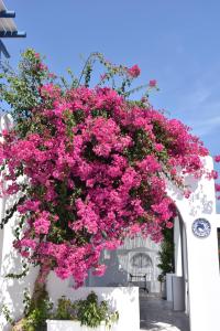 Bungalows Marina Paros Greece