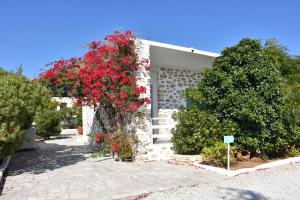 Bungalows Marina Paros Greece