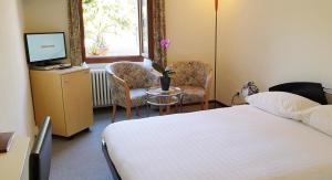Standard Single Room room in Hotel & Spa Cacciatori