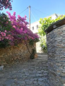 Agnanti Hotel Apartments Pelion Greece