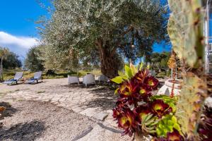 Villa Il Carrubo val di noto con piscina privata