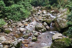 Paraíso en la montaña con cascadas y lago de pesca