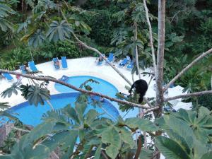 Cariblue Beach and Jungle Resort