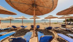 Tortuga Dafni Bay Villas on the beach Zakynthos Greece