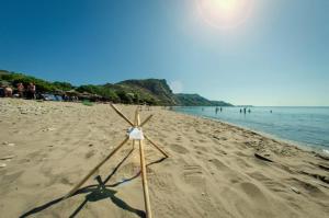 Tortuga Dafni Bay Villas on the beach Zakynthos Greece