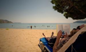 Tortuga Dafni Bay Villas on the beach Zakynthos Greece