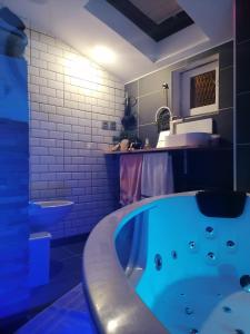 Le spa des canut photo 12
