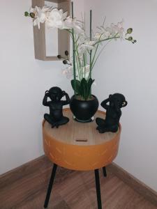 Le spa des canut photo 6