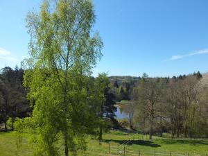 Hotels Les Grillons du Morvan : photos des chambres