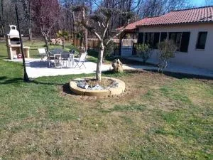 Les pruniers de la cipière - Bardenac