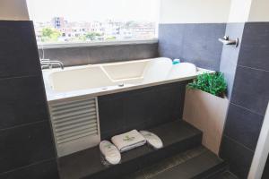 Palmetto Hotel Business San Miguel