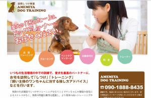 Forest House Yamanakako