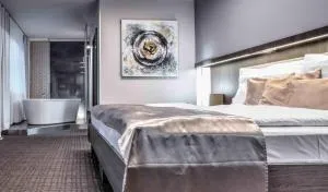 Volcano Spa Hotel - Holyně