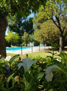 Hotels Auberge de la Tour -Appartements- : photos des chambres