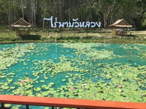 ไร่นาบัวหลวง คาเฟ่ & ฟาร์มสเตย์ RaiNa BuaLuang Cafe & Farm Stay