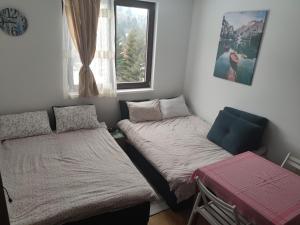 Vila Irina - Studio 11 lux