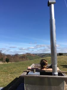 Belan Bluebell Woods Shepherds Hut