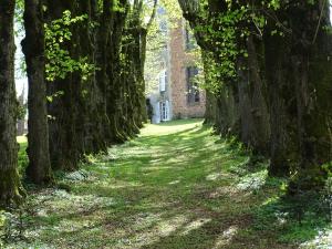 B&B / Chambres d'hotes Chateau de la Forie : photos des chambres