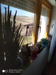 Seosko turističko domaćinstvo MILKA