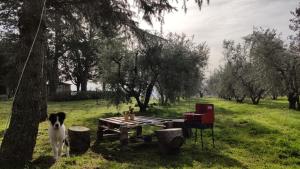 Agriturismo La Villetta