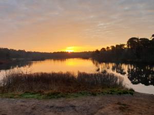 29, Natuurlijk gelegen nabij Efteling en Beekse Bergen, Airco & Privé parkeren inbegrepen!