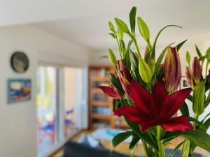 Apartment AlMare 