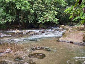 Selvita Lodge Arenal