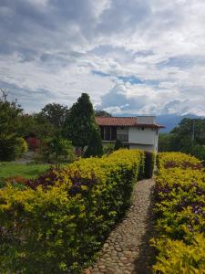 Hacienda Miraflores