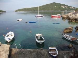 Apartments Rašica Molunat