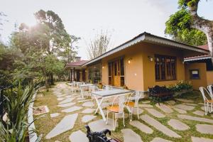 Misty Mountain Experience