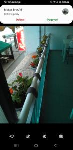 APARTMANI HERCEG
