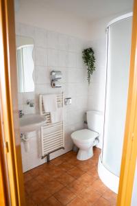 Double Room with Private Bathroom room in Rodinný penzion Barborka