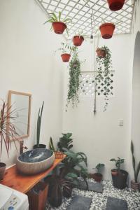 Cube homestay Phan Rang cách biển 300m to the beach